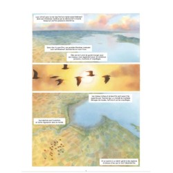 Carnet de voyage d'un courlis - BD