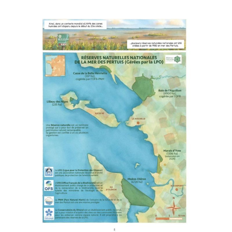 Carnet de voyage d'un courlis - BD