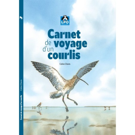 Carnet de voyage d'un courlis - BD