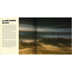 Le chat côté sauvage