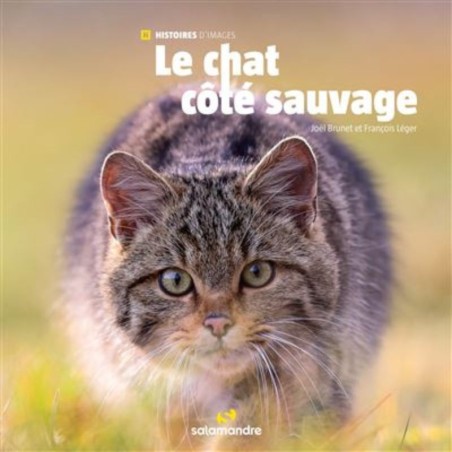 Le chat côté sauvage