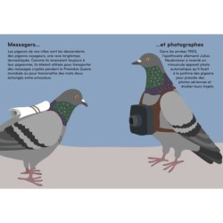 Ornithorama - Découvre et observe le monde merveilleux des oiseaux
