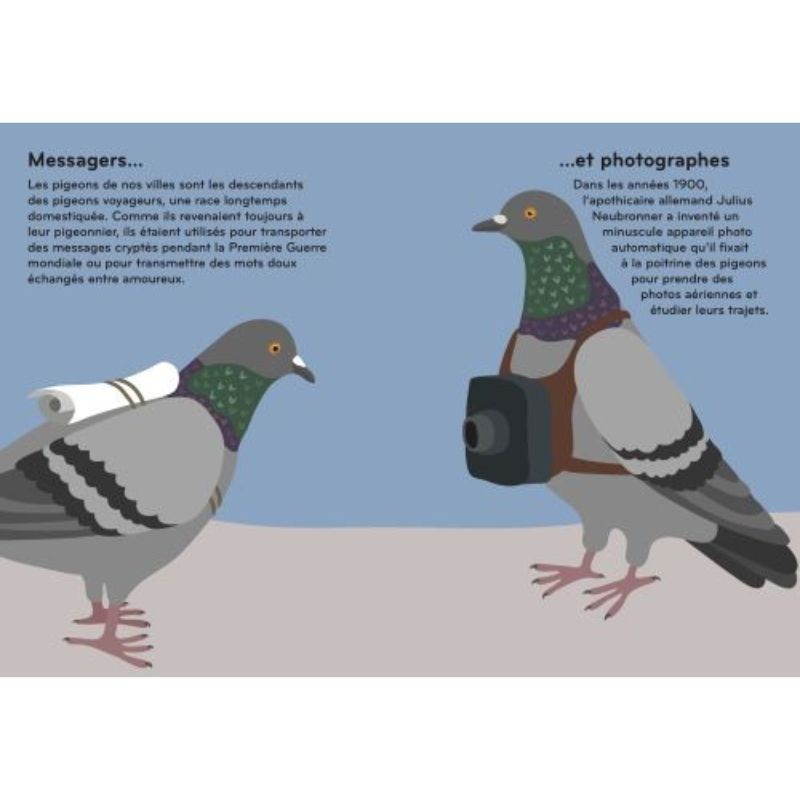 Ornithorama - Découvre et observe le monde merveilleux des oiseaux