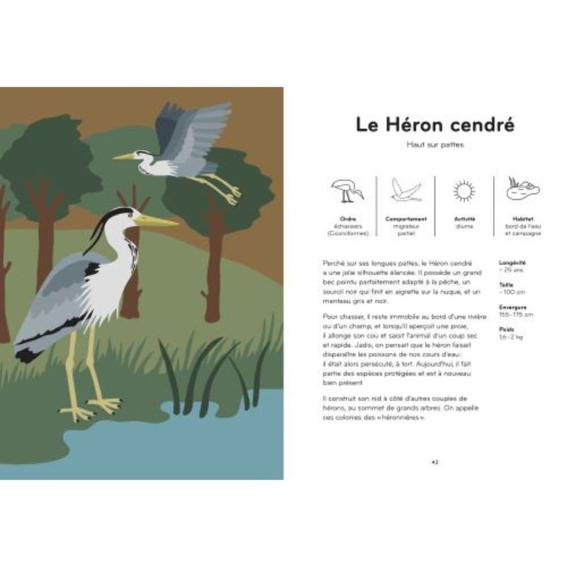 Ornithorama - Découvre et observe le monde merveilleux des oiseaux