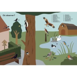 Ornithorama - Découvre et observe le monde merveilleux des oiseaux