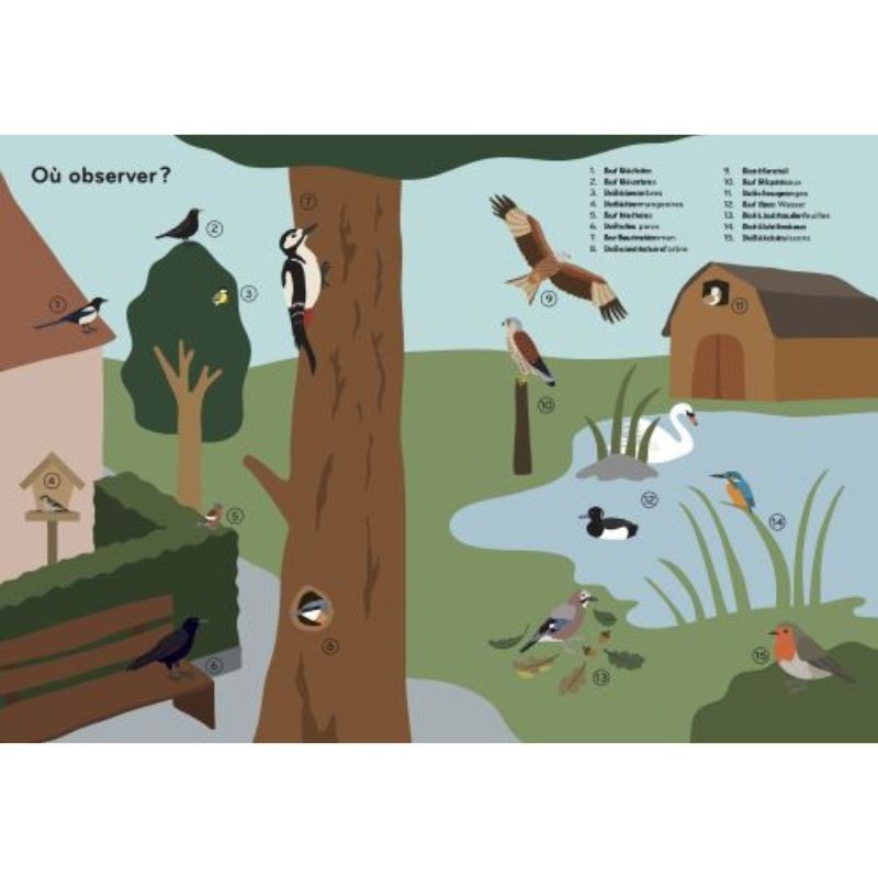 Ornithorama - Découvre et observe le monde merveilleux des oiseaux