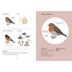 Ornithorama - Découvre et observe le monde merveilleux des oiseaux