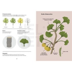 Arborama - Découvre et observe le monde fabuleux des arbres