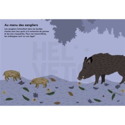 Arborama - Découvre et observe le monde fabuleux des arbres