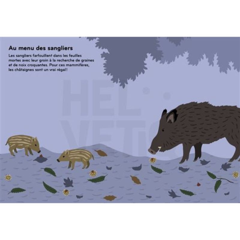 Arborama - Découvre et observe le monde fabuleux des arbres