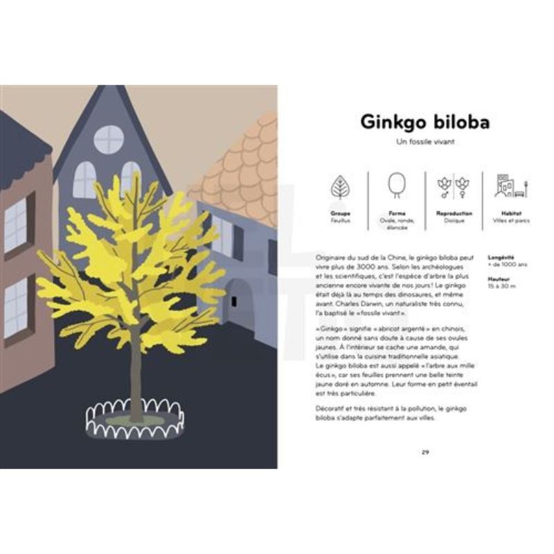 Arborama - Découvre et observe le monde fabuleux des arbres