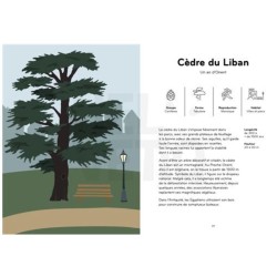 Arborama - Découvre et observe le monde fabuleux des arbres