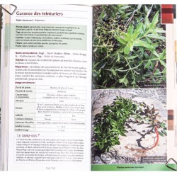 Guide des teintures naturelles - Plantes à fleurs