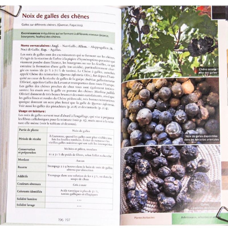 Guide des teintures naturelles - Plantes à fleurs