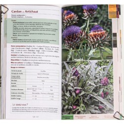 Guide des teintures naturelles - Plantes à fleurs