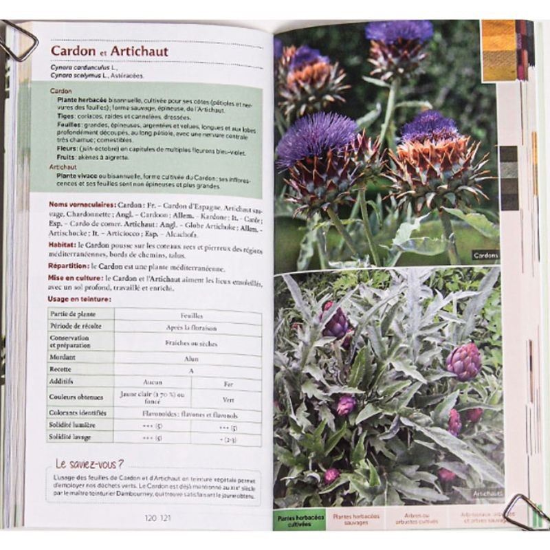 Guide des teintures naturelles - Plantes à fleurs