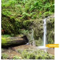 Randos bière en Belgique - La façon la plus rafraîchissante de voir la Belgique