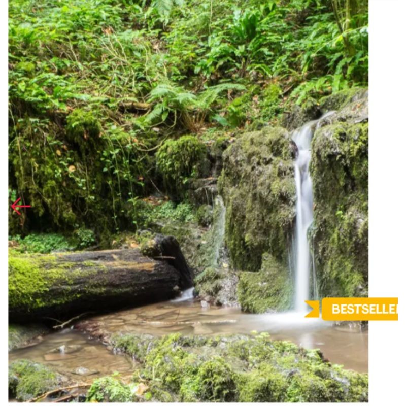 Randos bière en Belgique - La façon la plus rafraîchissante de voir la Belgique