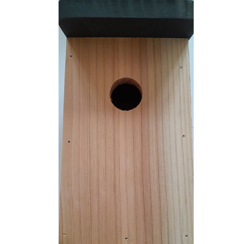 Nichoir Eden 28mm - Bois