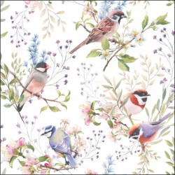 Serviettes "Oiseaux des jardins" - Table