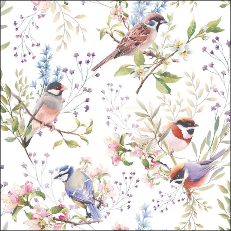 Serviettes "Oiseaux des jardins" - Table