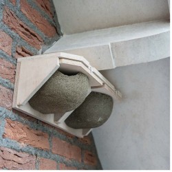 Nichoir amovible pour hirondelles de fenêtre KN HZ 09 - Double - Béton de bois
