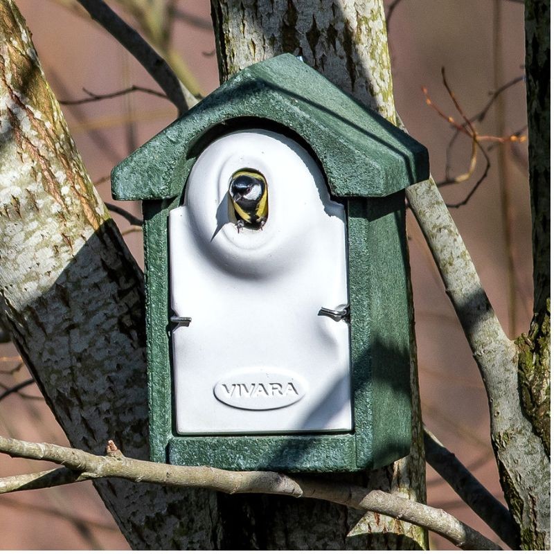 Nichoir trou ovale Seville 32 mm NK SE 07 - Vert - Béton de bois