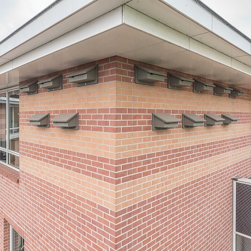 Nichoir à martinets de façade NK GZ 10 - Béton de bois