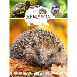 Le Hérisson - P'tit curieux