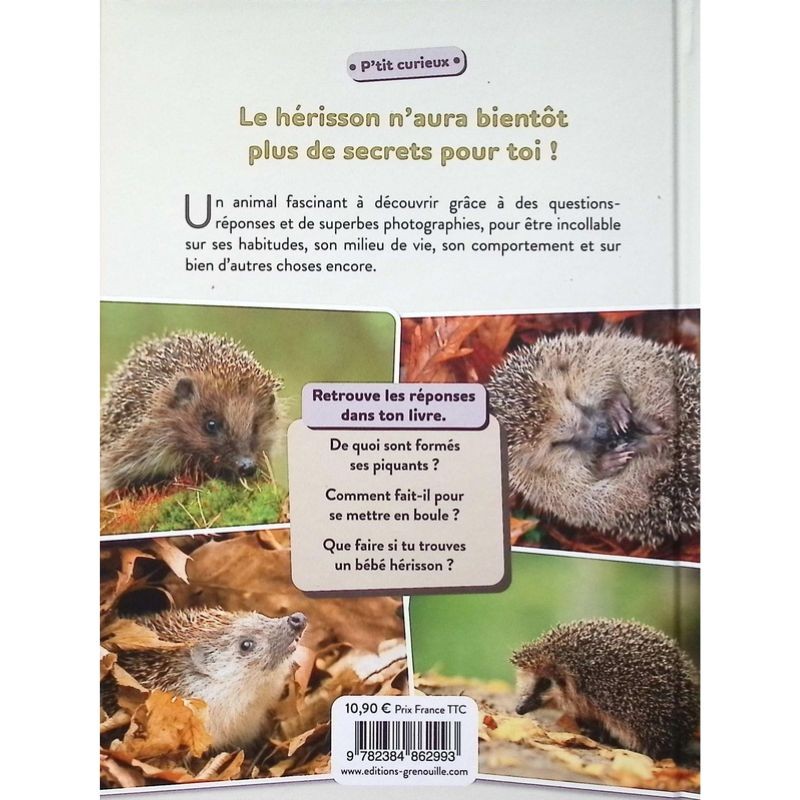 Le Hérisson - P'tit curieux