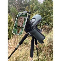 Tragopan Adaptateur universel digiscopie