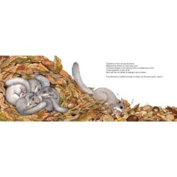 Comme des marmottes - L'hibernation