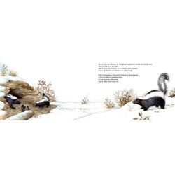 Comme des marmottes - L'hibernation