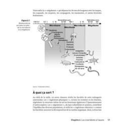 La Biodiversité pour les Nuls