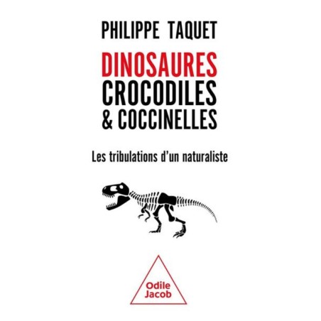 Dinosaures, crocodiles et coccinelles