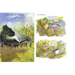 Petit traité d'écologie sauvage - T.3 - Mythopoïèse - BD