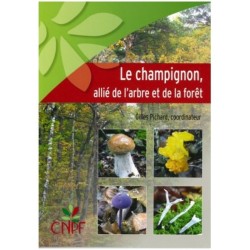 Le champignon, allié de l'arbre et de la forêt