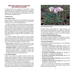 Guide des fleurs des champs
