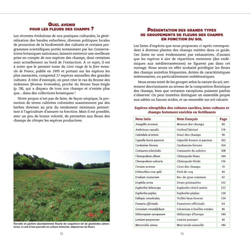 Guide des fleurs des champs