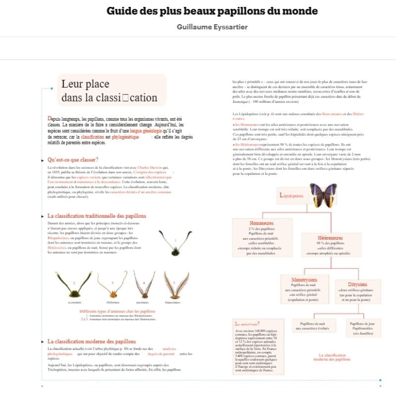 Guide des plus beaux papillons du monde