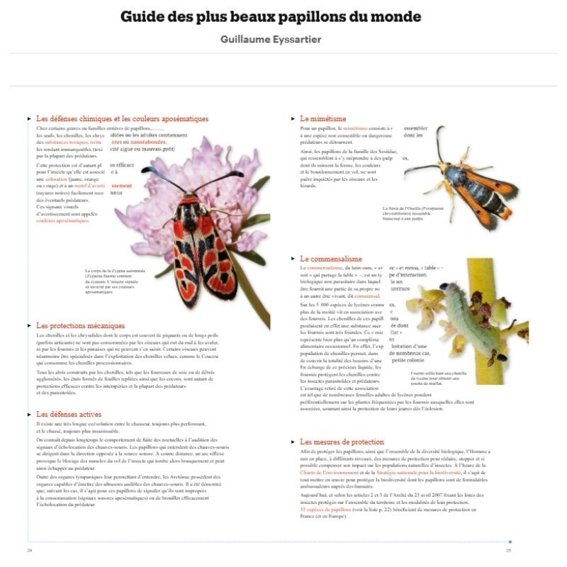 Guide des plus beaux papillons du monde