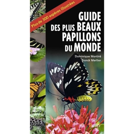 Guide des plus beaux papillons du monde