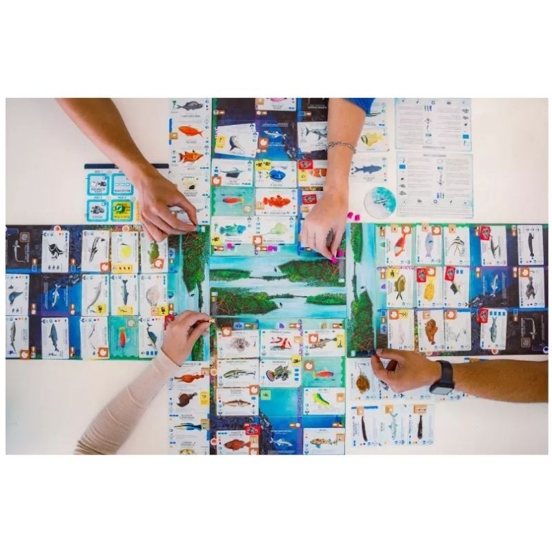 Finspan - Un jeu Wingspan