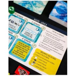 Finspan - Un jeu Wingspan