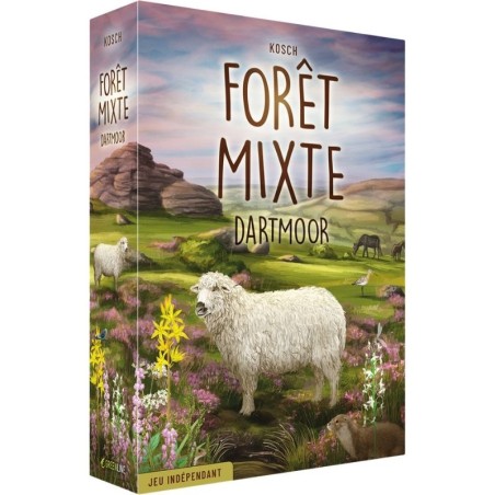 Forêt Mixte - Dartmoor