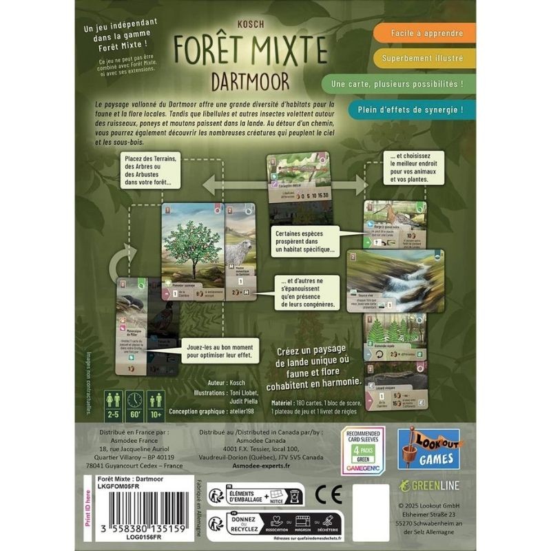 Forêt Mixte - Dartmoor