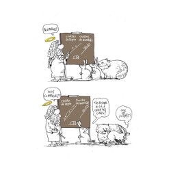 Dieu, Darwin, tout et n'importe quoi - Histoires naturelles