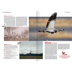 L’appel des grues - Revue La Salamandre N°286