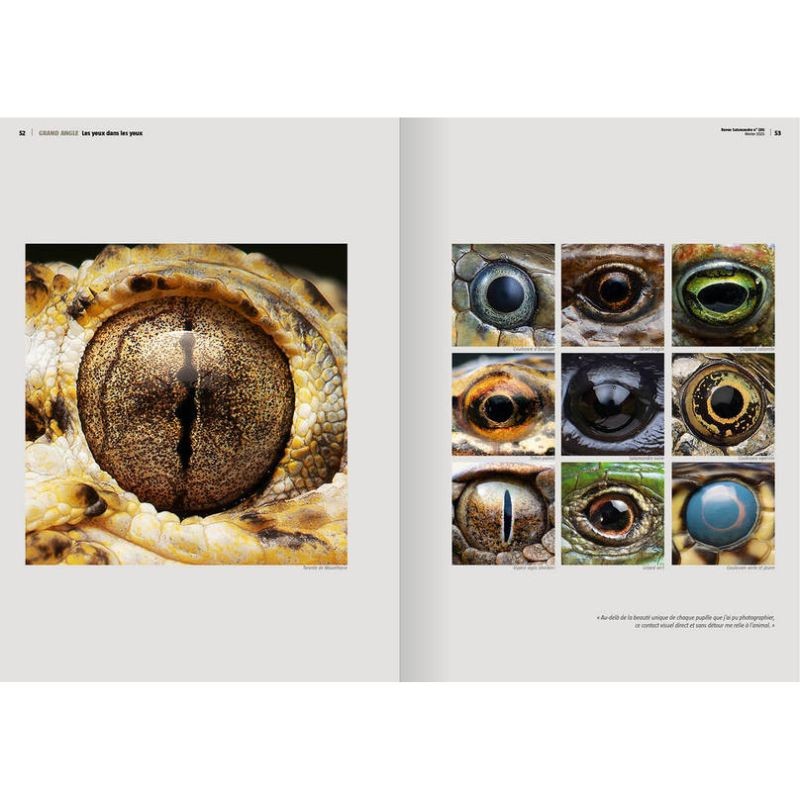 L’appel des grues - Revue La Salamandre N°286