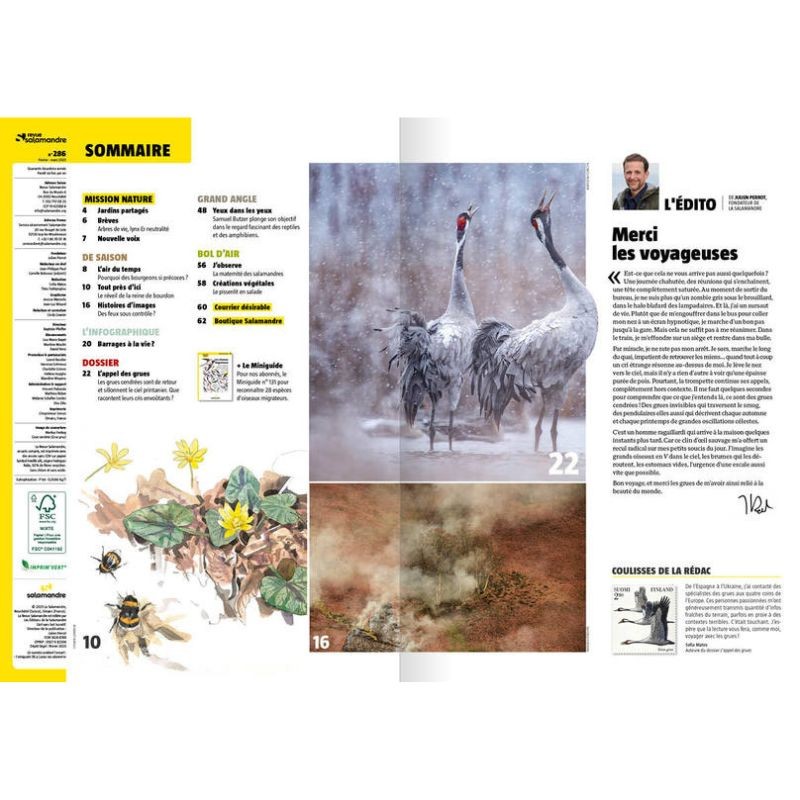 L’appel des grues - Revue La Salamandre N°286